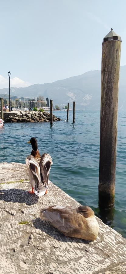 Апартаменты Riva Del Garda Nest Экстерьер фото